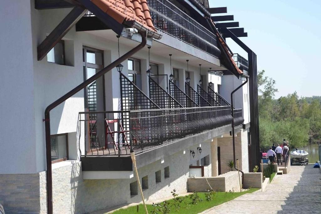 Pensiunea Delta Dreams Dunavăţu de Jos Exterior foto